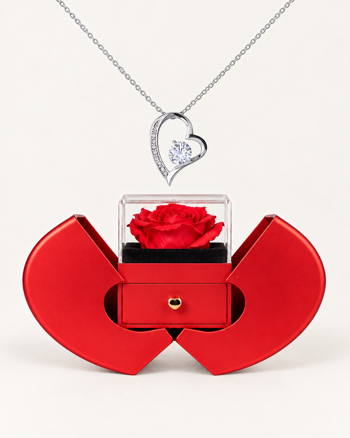 Silver-tone classic heart CZ necklace displayed above an open red heart-shaped rose gift box.